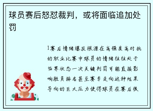 球员赛后怒怼裁判，或将面临追加处罚