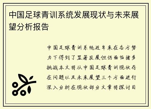 中国足球青训系统发展现状与未来展望分析报告